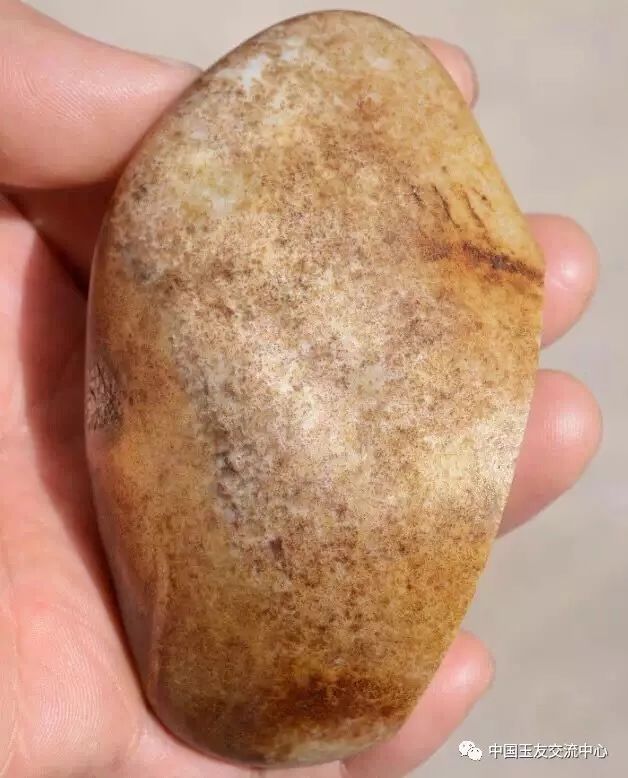 什么是黄皮什么是黑皮 91d1d24871cc4d6a89a38518447dda65.jpeg