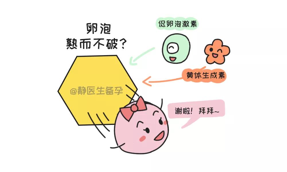 静医生备孕:卵泡不破怎么办?一招帮你破解