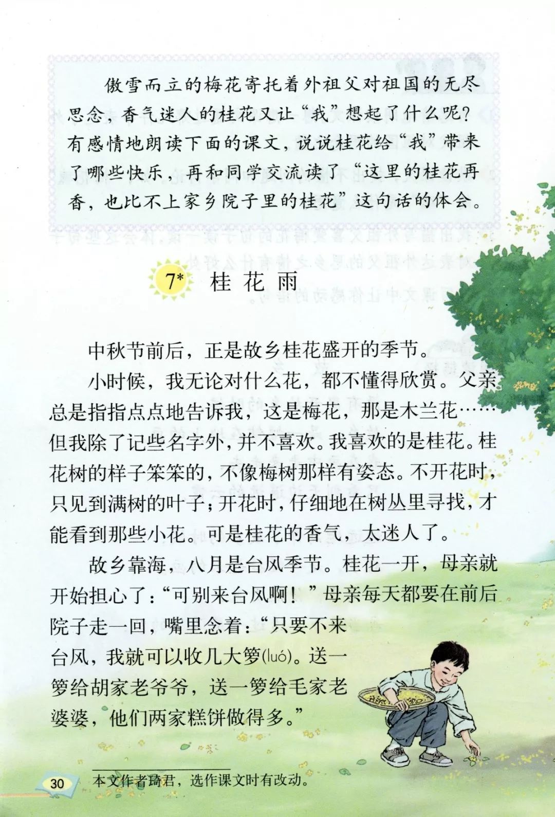《桂花雨》丨那些年,我们一起读过的课文