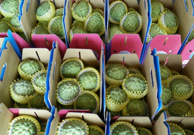 价格偏高的水果有哪些 a233df40bbac4341926db6b107856abb.png