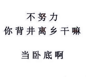 北美人口组成_10以内的分解与组成