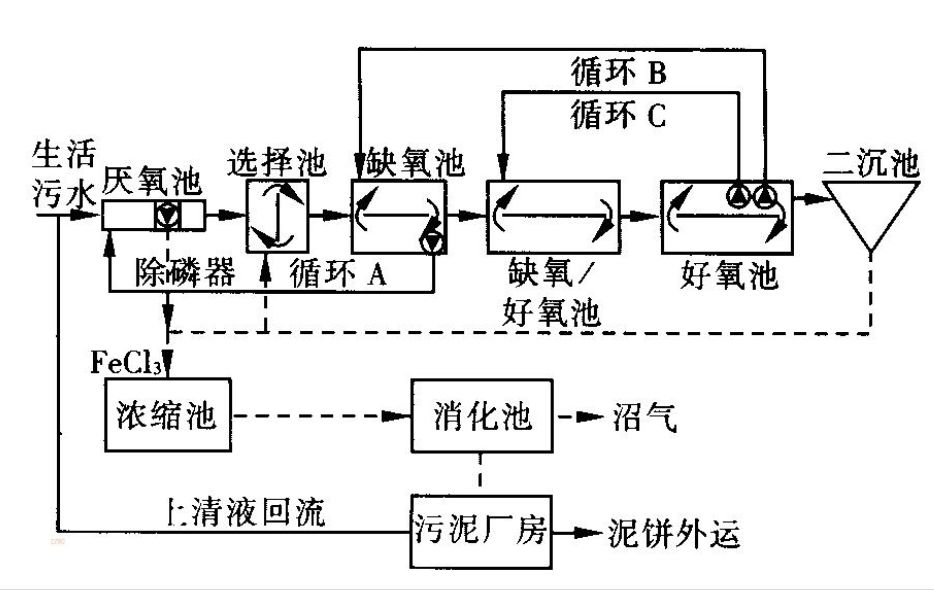 技术解析丨关于a2o工艺脱氮与除磷矛盾关系的浅谈