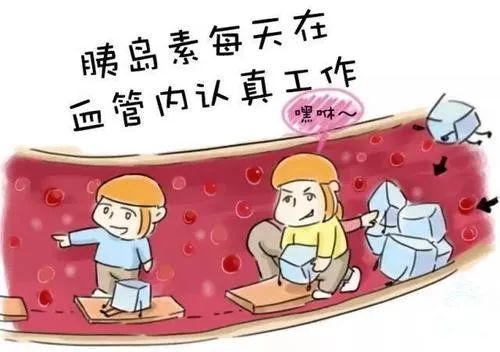 为什么没有饥饿感 aa2586c0b70c41c0883fc1e69f2001c0.jpeg