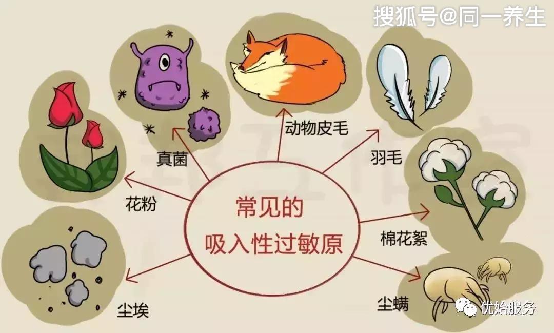 【优始观察】过敏体质对怀孕有影响吗