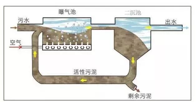 谈谈雨污分流那些事