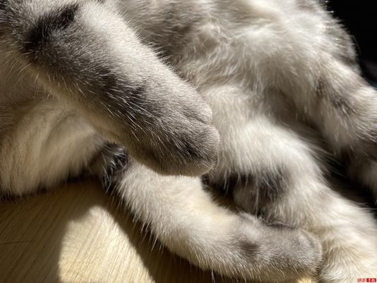 iPhone11�����ô��?iPhone11�����������