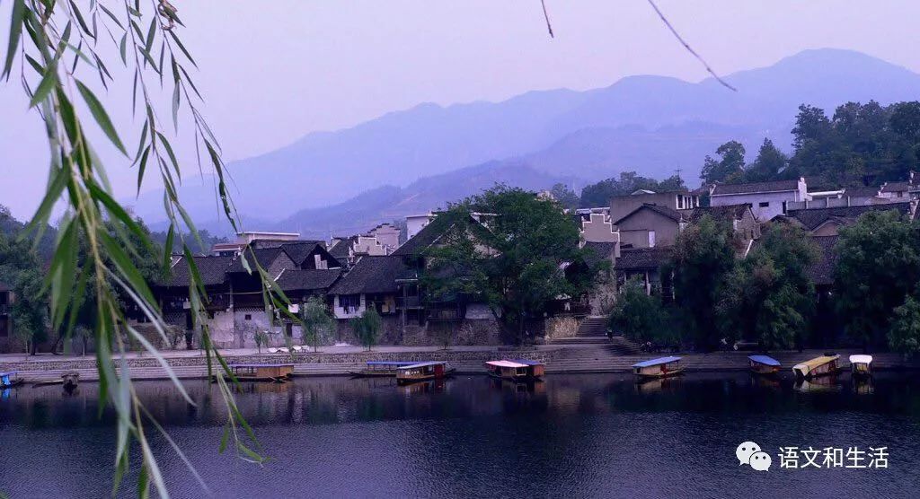 文章配图-3