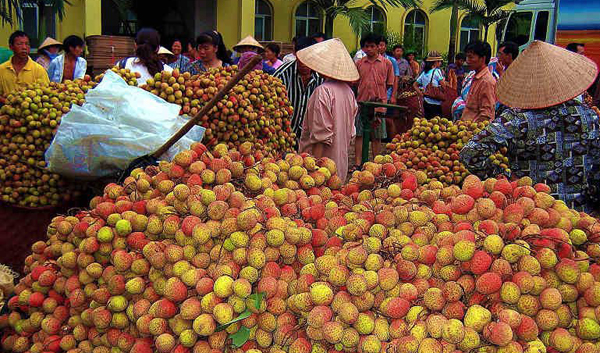 东南亚水果进中国最大口岸 bc99f0189fb147bd8653bb184b3d022c.jpeg