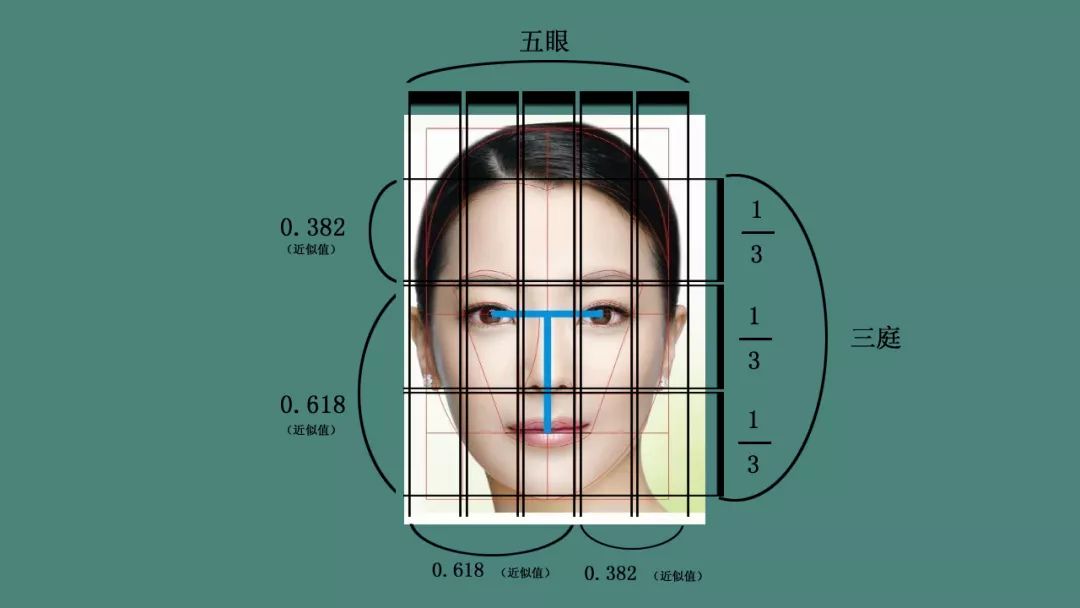 黄金比例法则与发型设计(上)