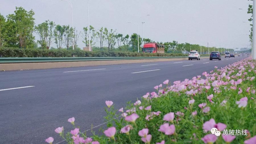 木兰大道 来自搜狐网