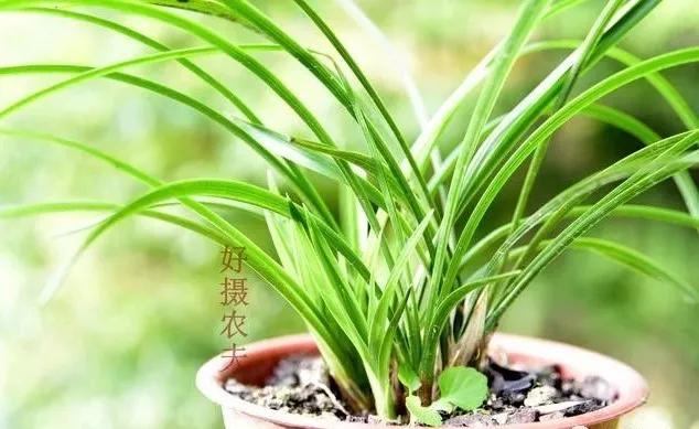 cce0a8832cc74e689aa9a69c025550c4.JPG