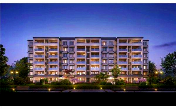 江苏邳州邹庄镇2020g_邳州苔干