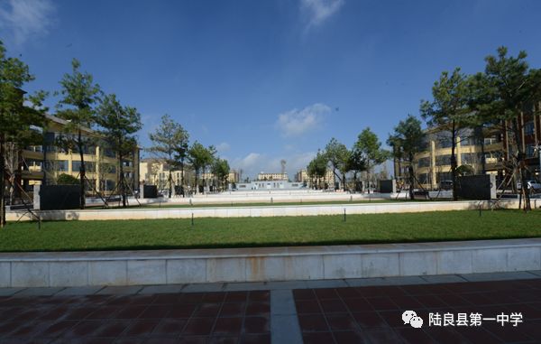 陆良县人口数量_陆良县地图(3)