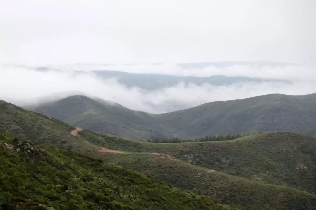 张家口超高人气景点榜大青山国际旅游度假区