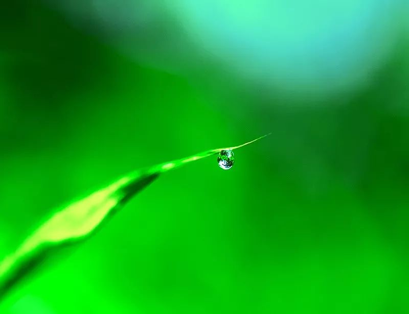 轻音乐|《清晨的祈祷》让心情融于这份静谧之