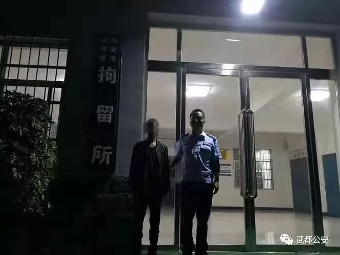 武都乡人口_武都夜景图片