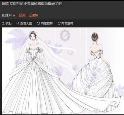 兰玉婚纱手稿_兰玉婚纱设计图片手稿(2)