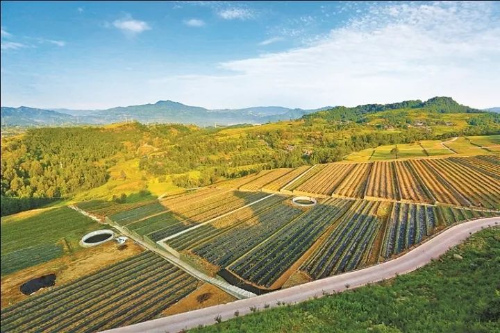 宣汉县gdp_宣汉(2)