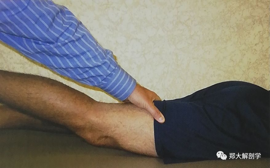 坐骨臀肌滑囊炎的患者常主诉在臀部下方疼痛,从而阻碍了下肢的伸展.