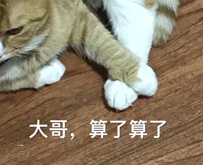 猫咪表情包25张我这一巴掌下棋你可能会死