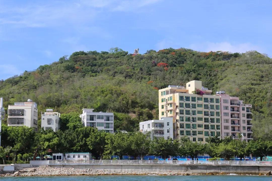 三亚限人口吗_三亚市区限购图(2)