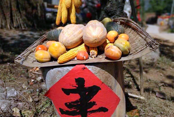 相约綦江 | 2019年"中国农民丰收节"邀你来中峰镇欢庆