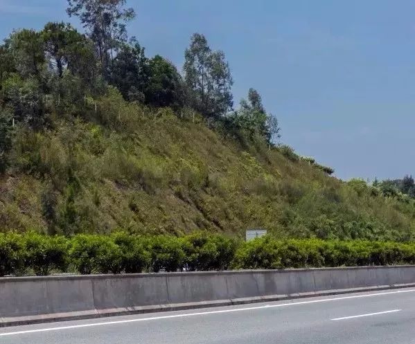 边坡绿化方案详解