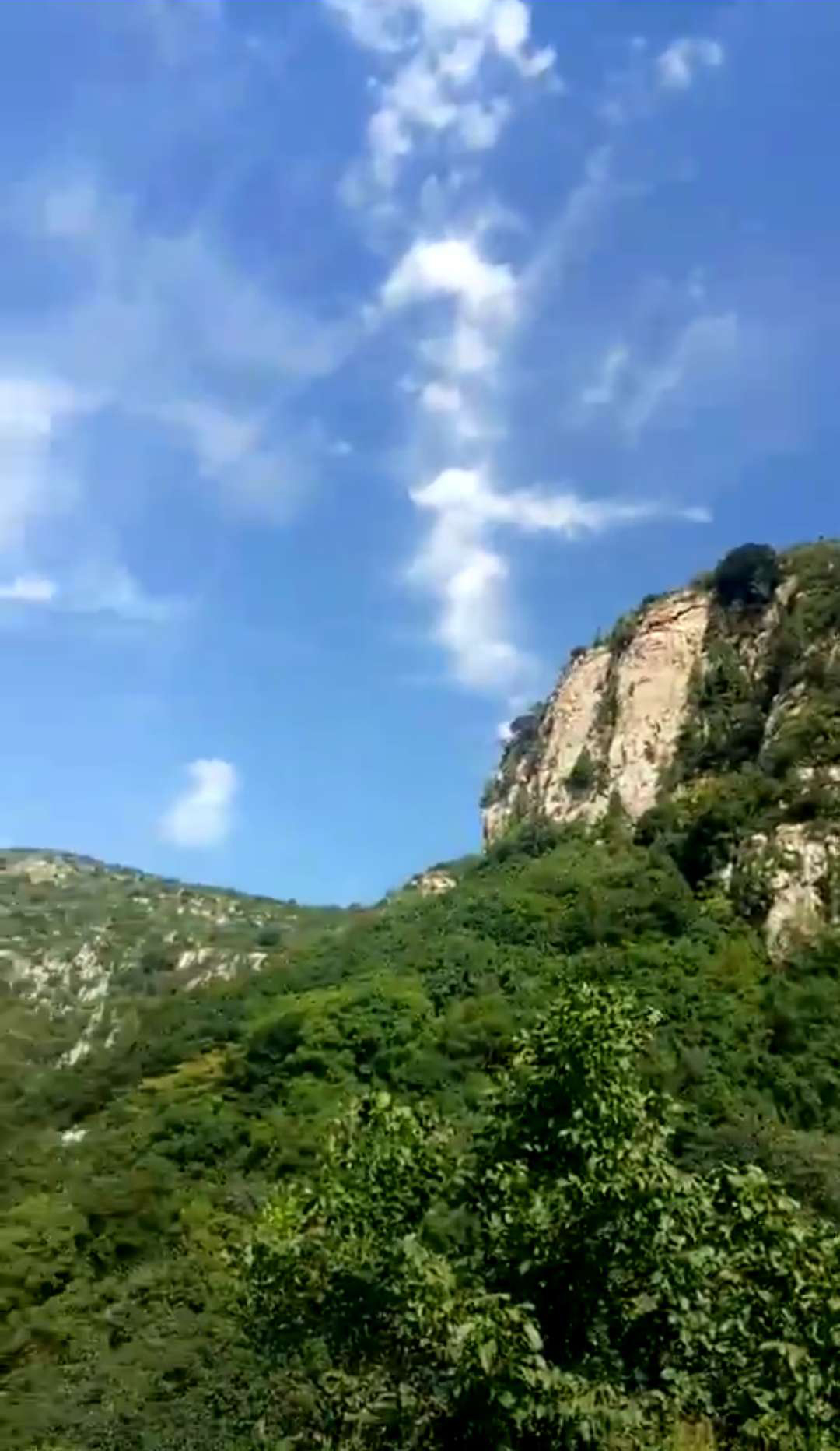 金秋刚至,燥热了一个夏季 章丘三王峪山水风景园,红叶遍岭 正是户外