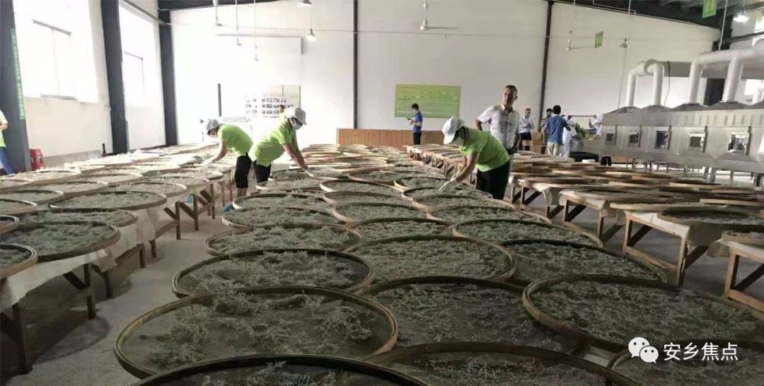 安乡县各乡镇人口_安乡县北河口中学照片