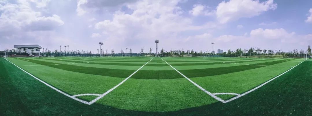 50片足球场,25片篮球场!上海市民体育公园一期今天建设落成