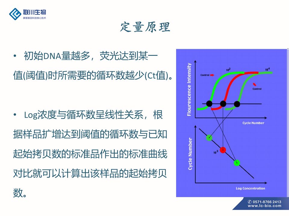 pcr原理是什么_pcr原理示意图(2)