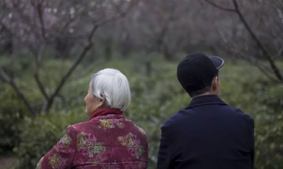 分年龄人口医疗费用_人口年龄金字塔图