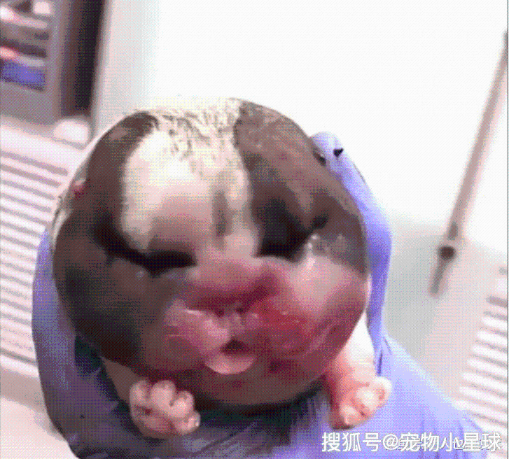 41b48b0cae414a9ca646d37711ebf011.png