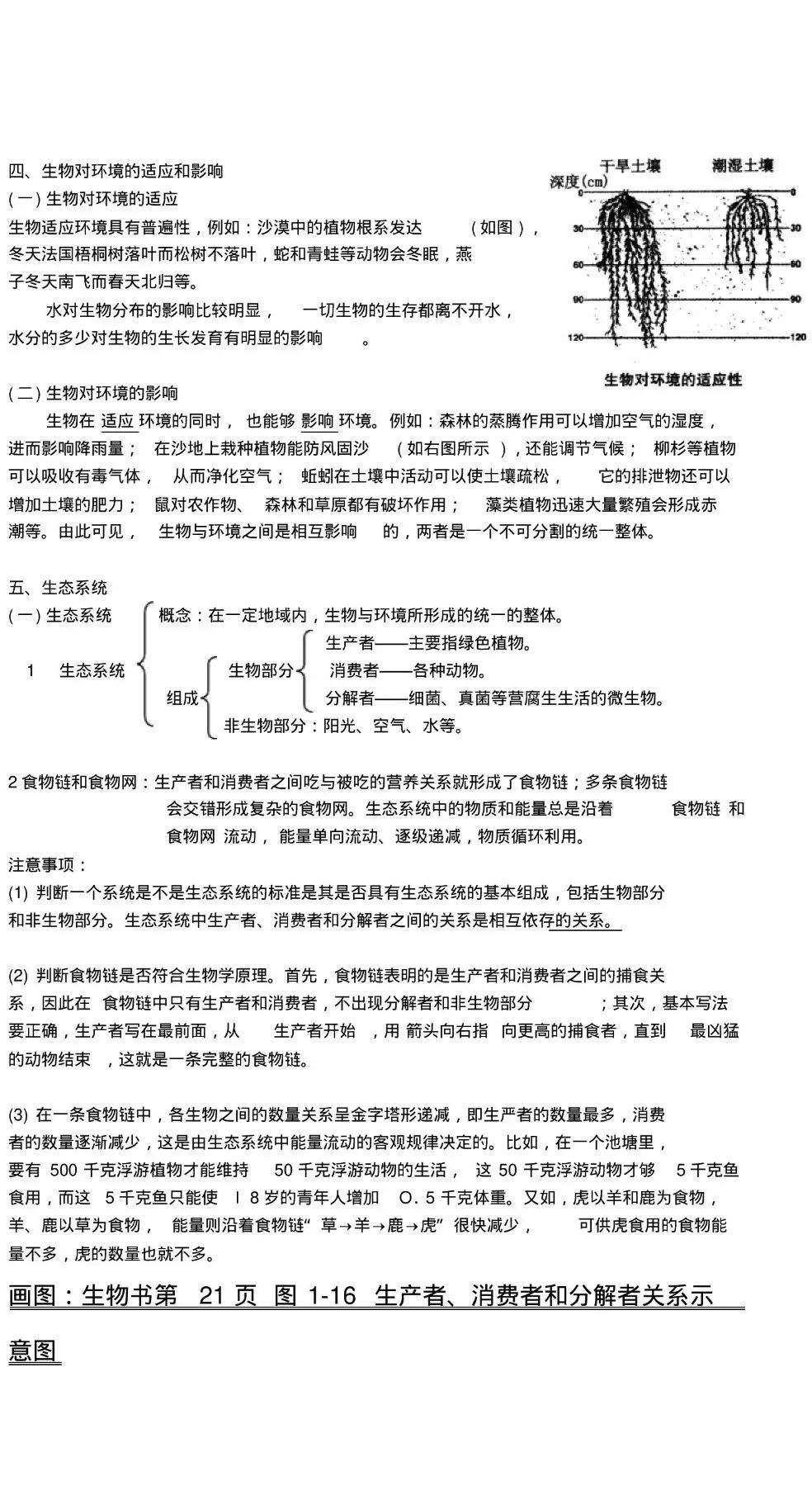 46495080d8e943218ddf71316acdcb82.jpeg
