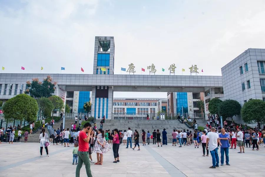 鹿鸣学校芙蓉学校警予学校西校区思蒙镇中心小学北斗溪镇九溪江中心