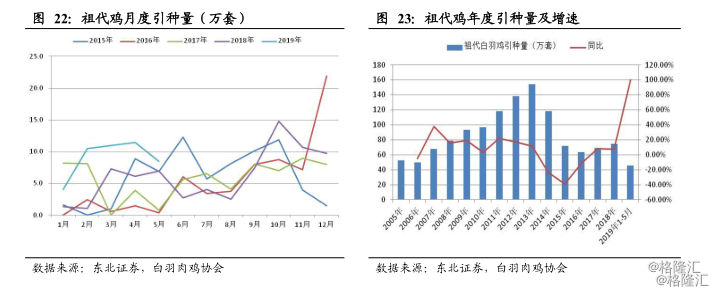 鸡苗价格突破10元大关，再创历史新高！这些个股或受关注_养殖