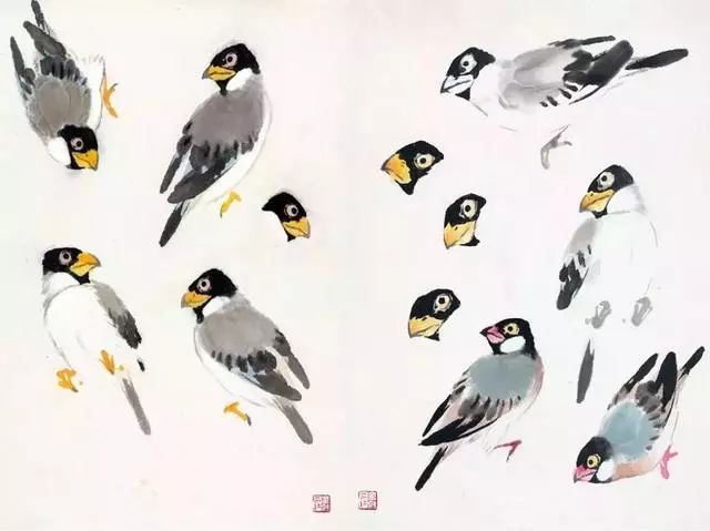 国画大师萧朗在教画时的画稿禽鸟草虫太经典了果断收藏