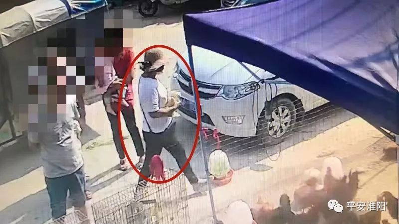 淮阳有多少人口_淮阳龙湖(3)