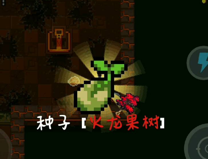元气骑士:火龙果树有何作用不光是增加伤害,还能进行