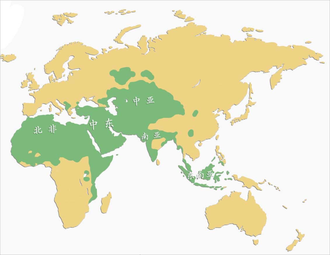 维族人口有多少_新疆地区人口变动情况分析报告(2)