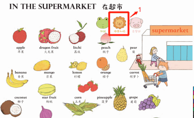 用手指就能点读的英语大书，高考御用配音，500个单词玩着学