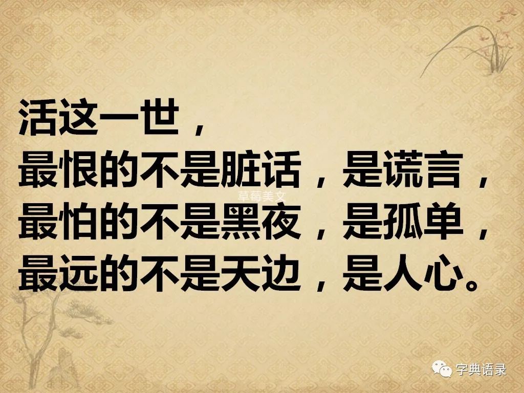 《真心,钱不买不到》,付出真心,换来伤心,剩下寒心