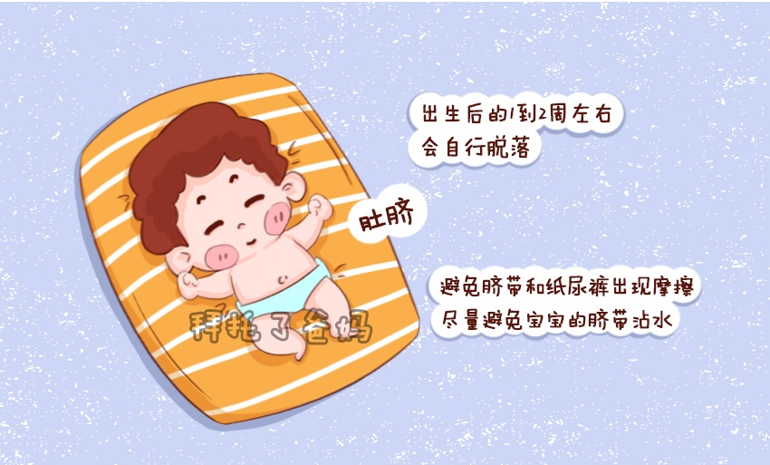 【拜托了爸妈】原创新生儿身体最“脆弱”的2个部位，护理要当心，小心伤到宝宝