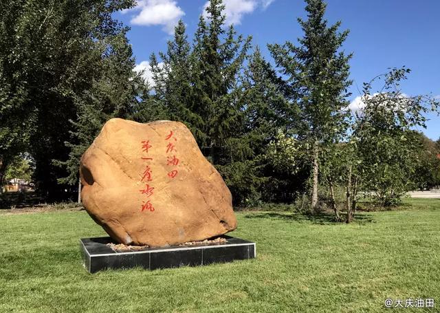 大庆有多少人口_上海大庆有湖的公园(3)