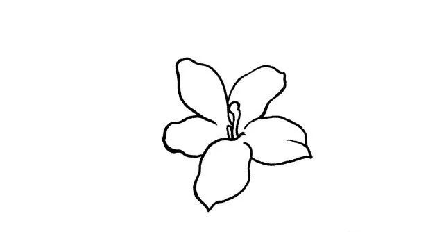 花怎么画的又好看又大 71092f52f25f4cecadec4f47b0ff68a3.png