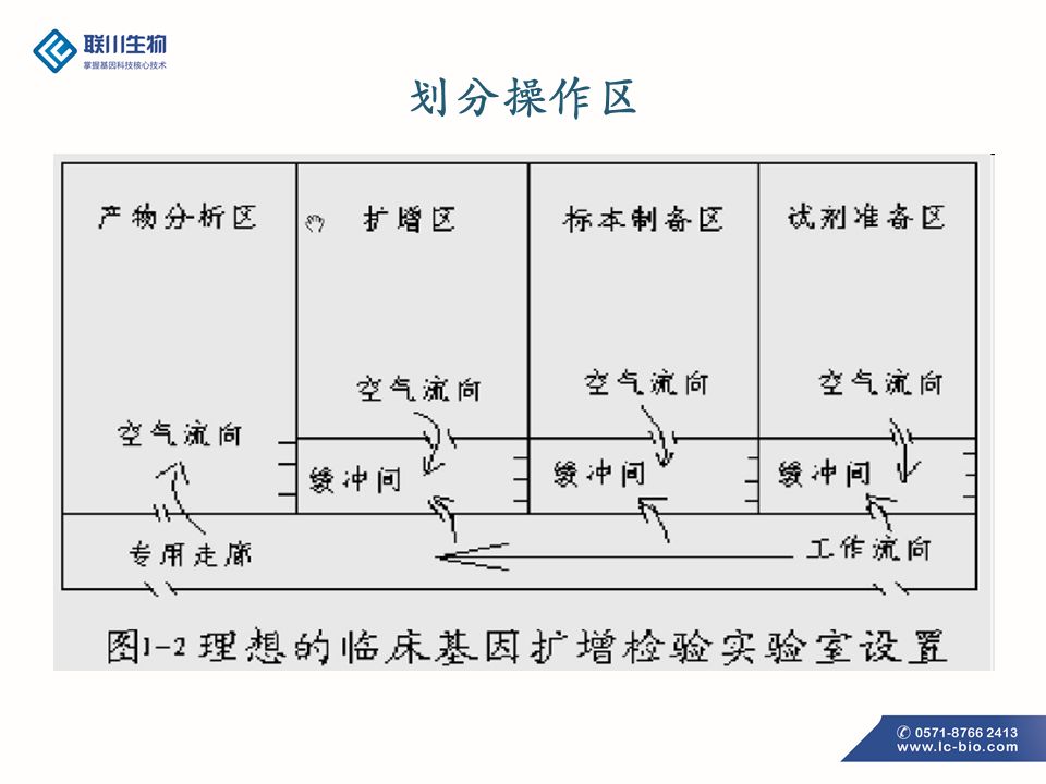 pcr技术利用的原理(2)