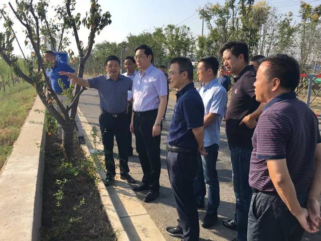 南京市水务局张孝科局长调研雨花台区水环境整治提升工作