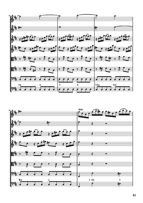 小提琴曲谱王_小提琴曲谱(3)