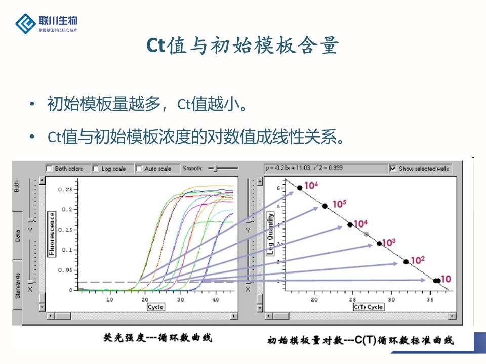 pcr原理是什么_pcr原理示意图(2)