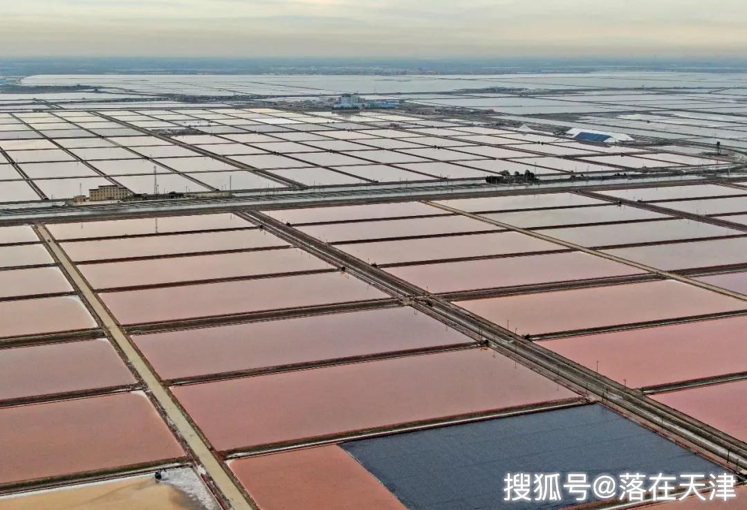 滨海新区这片千年奇景你见过没 长芦盐场美景来了!
